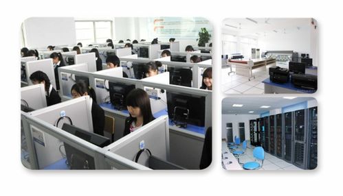 計算機軟硬件視角下的學(xué)科分野 計算機科學(xué)與技術(shù)、軟件工程、網(wǎng)絡(luò)工程